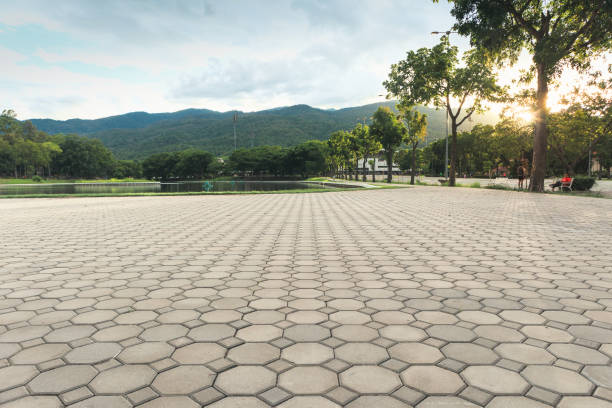 Best Driveway Pavers for Homes  in Whitemarsh Island, GA